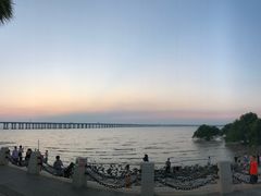 -宝安西湾红树林湿地公园