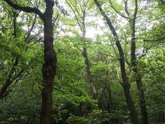 -宝岩生态观光园