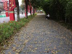-武汉园博园(武汉自然博物馆)