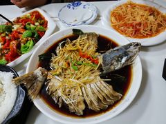 -煲来饱去冷水鱼