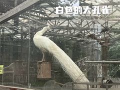 -厦门园林博览苑