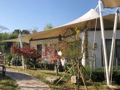 -帐篷客·溪龙茶谷度假酒店