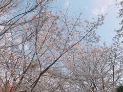 -上海体育场(地铁站)