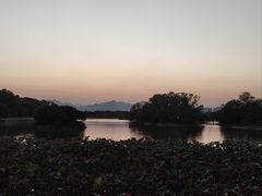 -江心屿景区