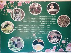 -茶油香闽南菜·花园餐厅(前埔店)