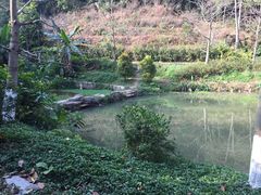 -火炉山森林公园