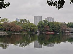 -荔湾湖公园