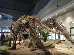 -自贡恐龙博物馆