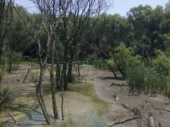 -西湖风景区-江洋畈生态公园
