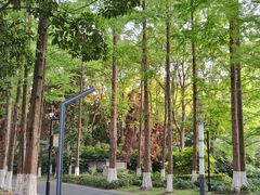 -苏州河梦清园环保主题公园