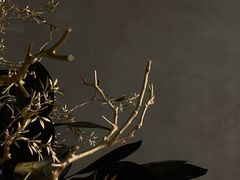 -喜茶(深圳万象城黑金店)