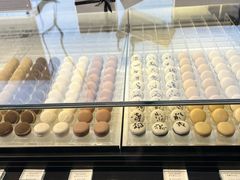 -BLACKSWAN黑天鹅(环球店)