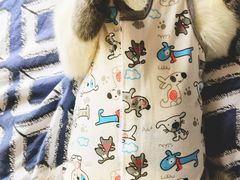 -瑞派名望志远动物医院·猫科·內科·异宠专科(直港大道店)