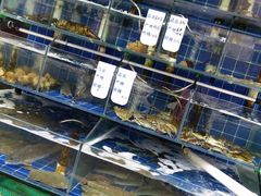 水产区-香满居张记小厨私房菜(青岛站店)