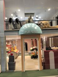 -奈尔宝·儿童乐园·亲子餐厅(星河湾店)