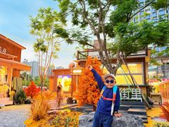 -首开·龙湖成都西宸天街