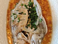 -魚當家