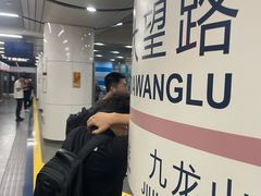 -大望路(地铁站)