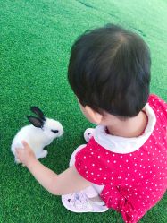 -萌宠亲子动物乐园(槐房万达店)