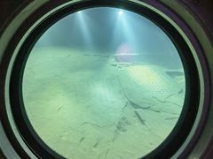 -白鹤梁水下博物馆