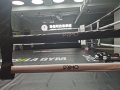 -花环泰拳·勒德斯拉泰拳馆(静安店)