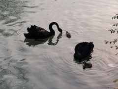 -长白岛森林公园