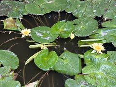 -莲池书院博物馆