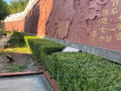 -广州神农草堂中医药博物馆