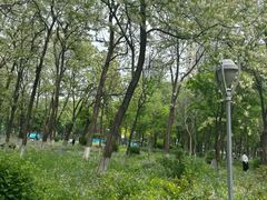 -盛江山自助料理(太原街万达店)
