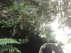 -怀托摩萤火虫洞