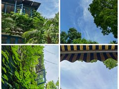 -野蔓果·山野菜(西湖景区·龙井茶田店)