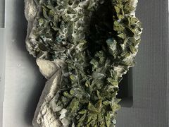 -湖南省地质博物馆