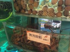 水产区-海港酒家(翔龙湾广场店)