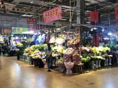 -大自然花鸟鱼虫市场