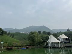 -帐篷客·溪龙茶谷度假酒店