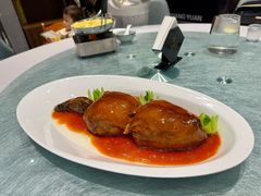 -丁老爷子苏香圆