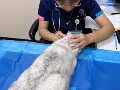 -美联众合爱康动物医院•复杂内科•肿瘤科•牙科•腔镜诊疗中心