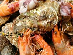 -单家老院·院子里的青岛菜(沙子口店)