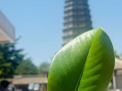 -法门文化景区