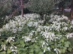 -元大都城垣遗址公园