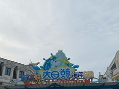 -芜湖新华联大白鲸海洋公园