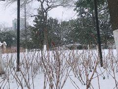 -常州古运河南大街文化旅游区-人民公园