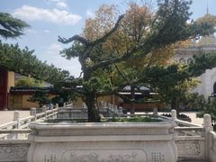 -上海东林寺(金山区)