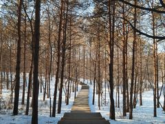-长春净月潭风景名胜区