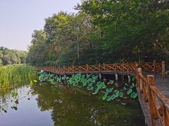 -云岗森林公园