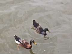 -海珠湖公园