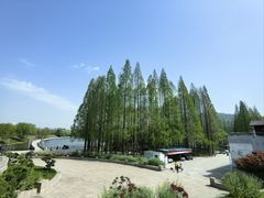 -紫金山天文台