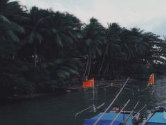 -东郊椰林