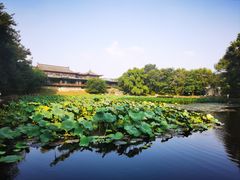 -二一九公园