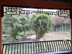 -重庆彩云湖湿地公园